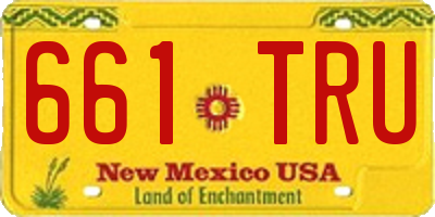 NM license plate 661TRU