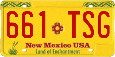 NM license plate 661TSG