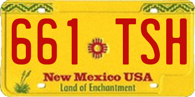 NM license plate 661TSH