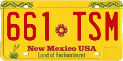 NM license plate 661TSM