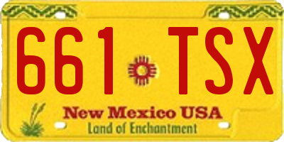 NM license plate 661TSX