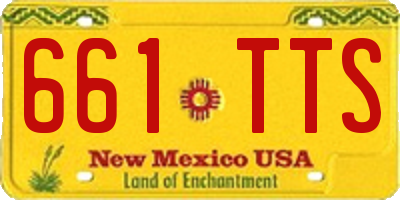 NM license plate 661TTS