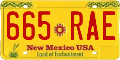 NM license plate 665RAE