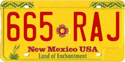 NM license plate 665RAJ