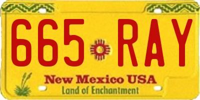 NM license plate 665RAY