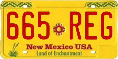 NM license plate 665REG