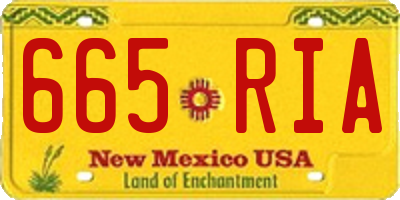 NM license plate 665RIA