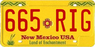 NM license plate 665RIG