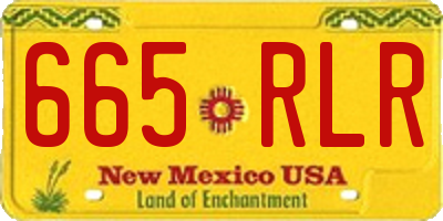 NM license plate 665RLR