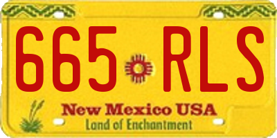 NM license plate 665RLS