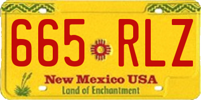 NM license plate 665RLZ