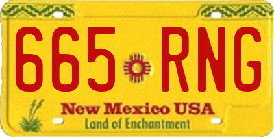 NM license plate 665RNG