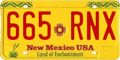 NM license plate 665RNX