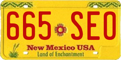 NM license plate 665SEO