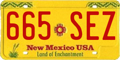NM license plate 665SEZ