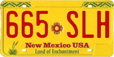 NM license plate 665SLH