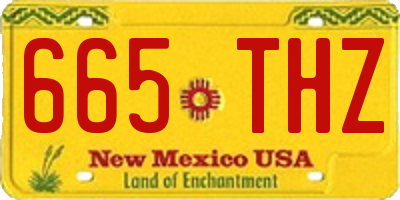 NM license plate 665THZ