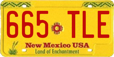 NM license plate 665TLE