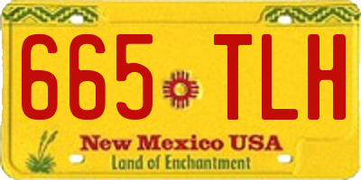 NM license plate 665TLH