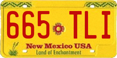 NM license plate 665TLI