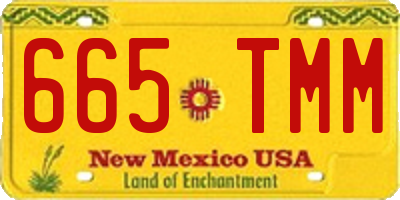 NM license plate 665TMM