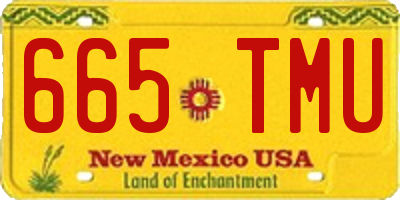 NM license plate 665TMU