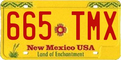 NM license plate 665TMX