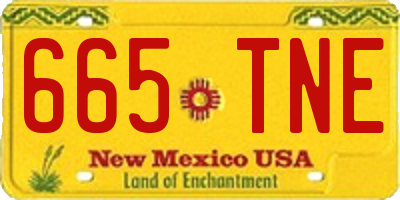 NM license plate 665TNE