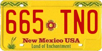 NM license plate 665TNO