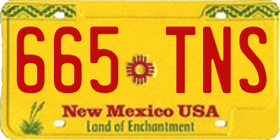 NM license plate 665TNS