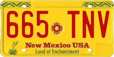 NM license plate 665TNV