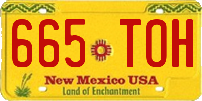 NM license plate 665TOH