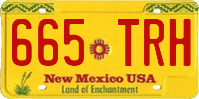 NM license plate 665TRH