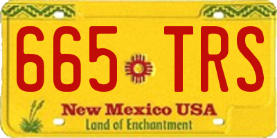NM license plate 665TRS