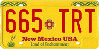 NM license plate 665TRT