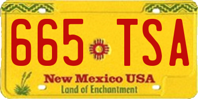NM license plate 665TSA