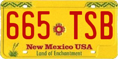 NM license plate 665TSB