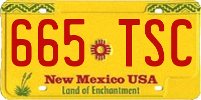 NM license plate 665TSC