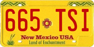 NM license plate 665TSI