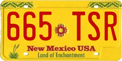 NM license plate 665TSR