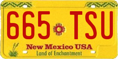 NM license plate 665TSU