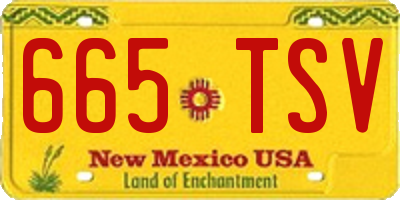 NM license plate 665TSV