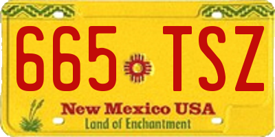 NM license plate 665TSZ