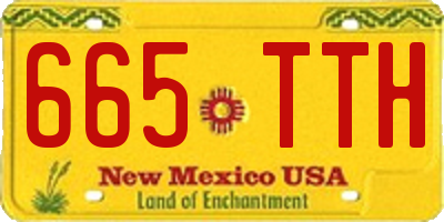 NM license plate 665TTH