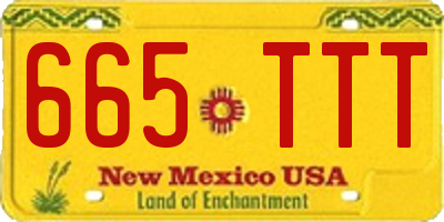 NM license plate 665TTT