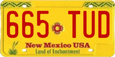 NM license plate 665TUD