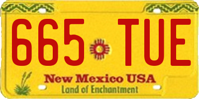 NM license plate 665TUE