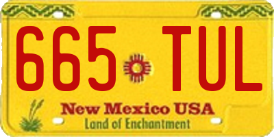 NM license plate 665TUL