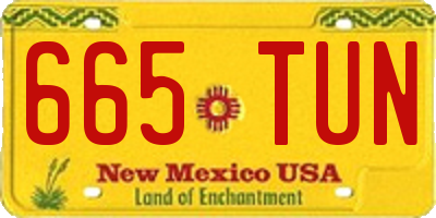 NM license plate 665TUN