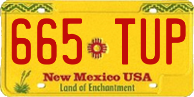 NM license plate 665TUP